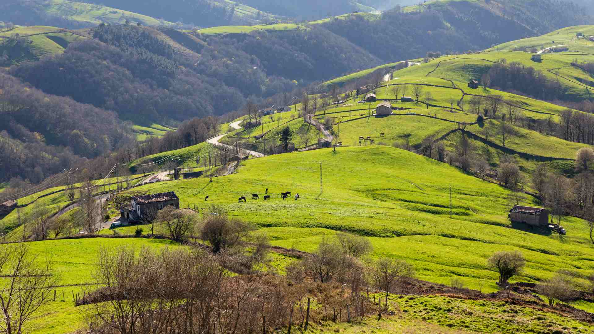 Valles Pasiegos Cantabria