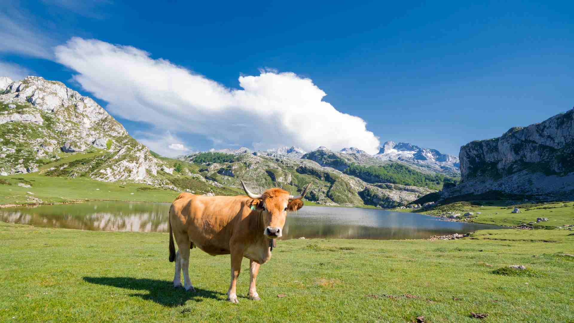 Ruta en camper por Asturias